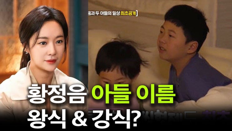 황정음 아들 이름 왕식 강식? 강아지 이름 예준예서랑 바뀐듯!