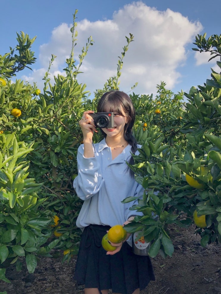 Ribbonbit 리본빛 Terry Sweatshirt [Skyblue] : 네이버 블로그