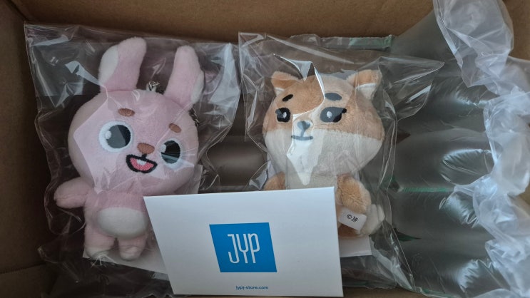 [일상] 데이식스 일본 JYP Shop 데니멀즈 백참 직구/ 한국 FANS Shop 마데워치 구매 후기 : 네이버 블로그