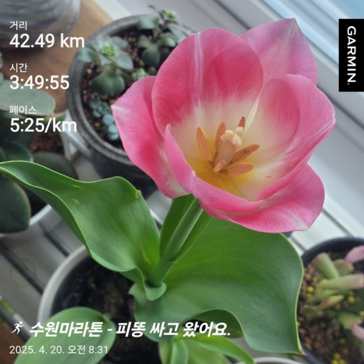 경기마라톤 풀코스 참가 후기 - 이건 아니지!
