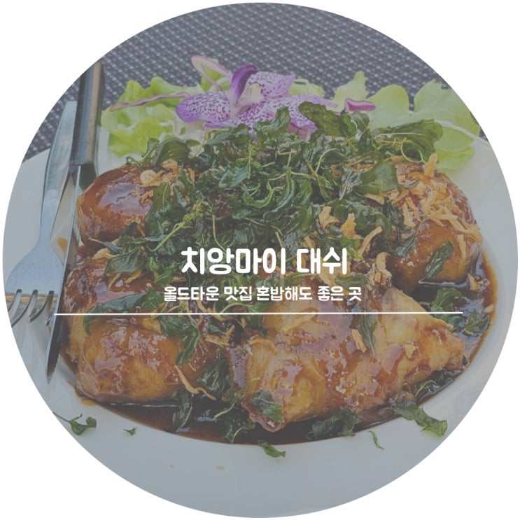 치앙마이 올드타운 맛집 대쉬 여자혼자 혼밥 추천