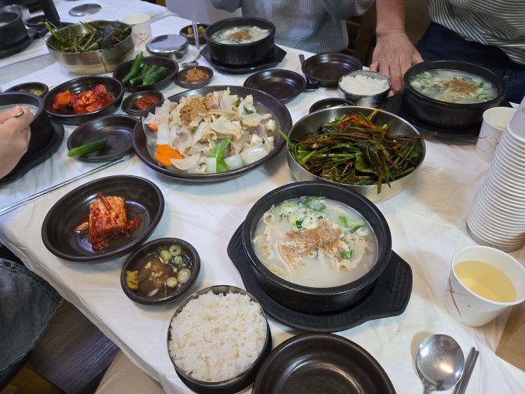 부여여행 6) 해장은 필요없지만 - 왕곰탕 양탕 곰탕 도가니수육 양수육 : 네이버 블로그