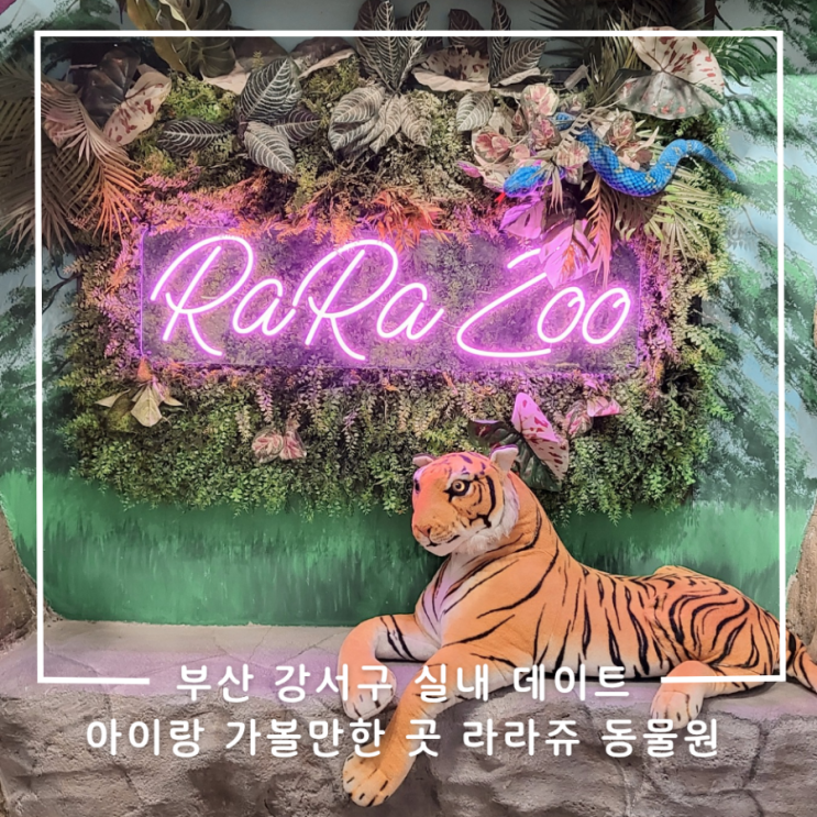 부산 강서구 아이랑 실내 가볼만한 곳 라라쥬 동물원