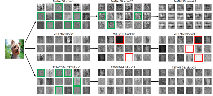 Tokens-to-Token ViT: Training Vision Transformers from Scratch on ...