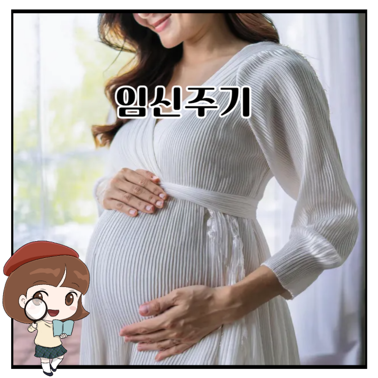 임신주기, 임신초기 중기 다르게 움직이고 변해요 : 네이버 블로그
