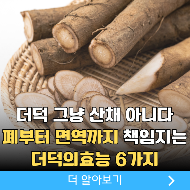 더덕의효능 6가지, 산더덕 야생더덕 효능 뭐가 좋을까? : 네이버 블로그
