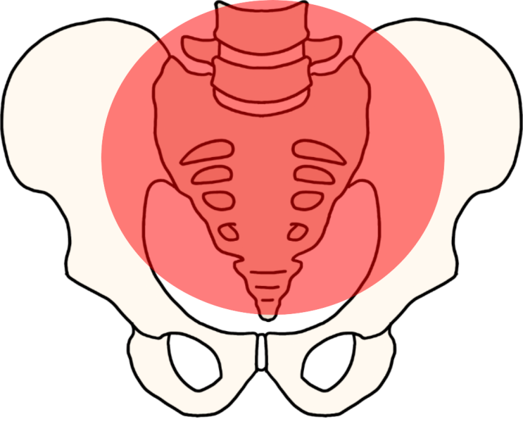 부산 동래 엉치통증, 치료해도 재발하는 진짜 이유? : 네이버 블로그