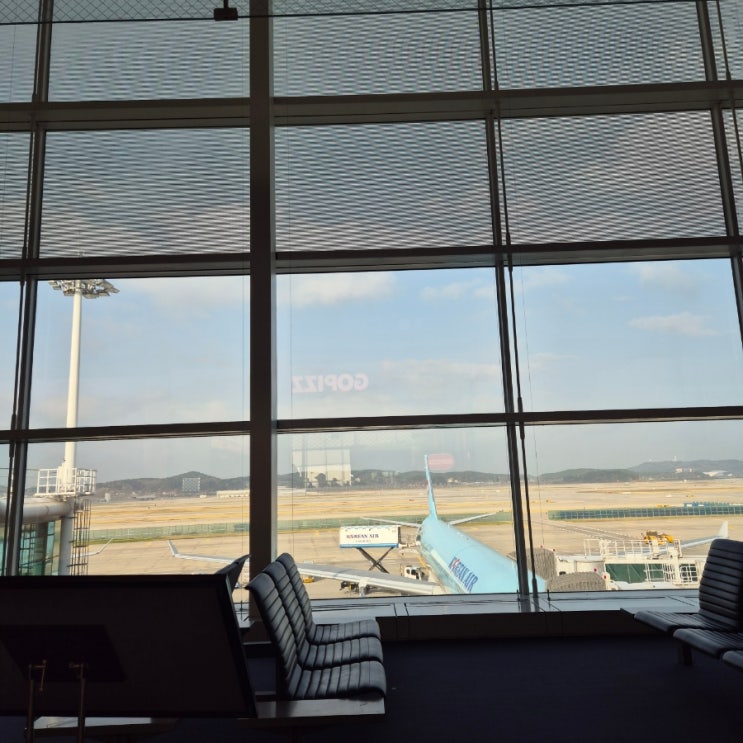 2025 중국 남경 출장 #1 (인천 공항 / 대한항공 출국 수속 팁, 푸드코트, KE101, 남경 루커우 공항 입국 ...