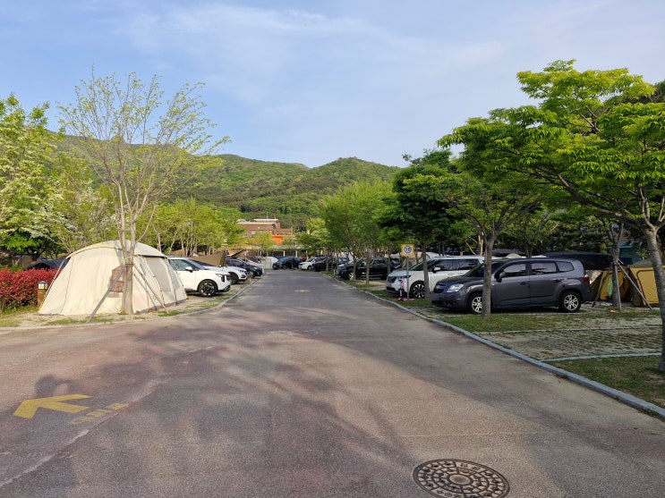 한려해상국립공원, 거제 학동자동차야영장, 명당 : 네이버 블로그