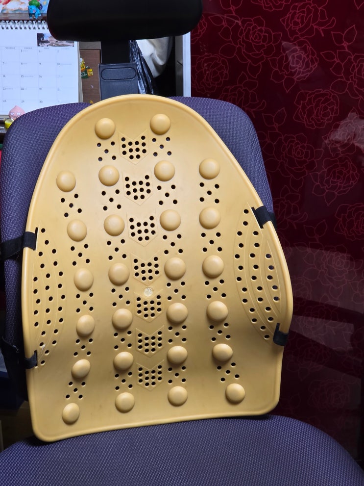 의자 등받이 허리 받침대 밤비쉬 요추 전만 지지대 추천 : 네이버 블로그