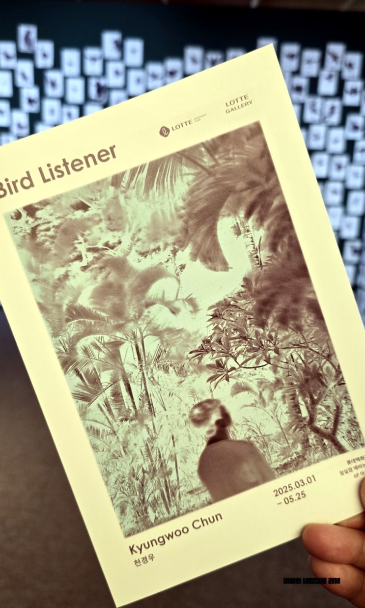 5월 무료 서울 전시회 천경우 개인전 Bird Listener 후기 @ 롯데갤러리 잠실점 : 네이버 블로그