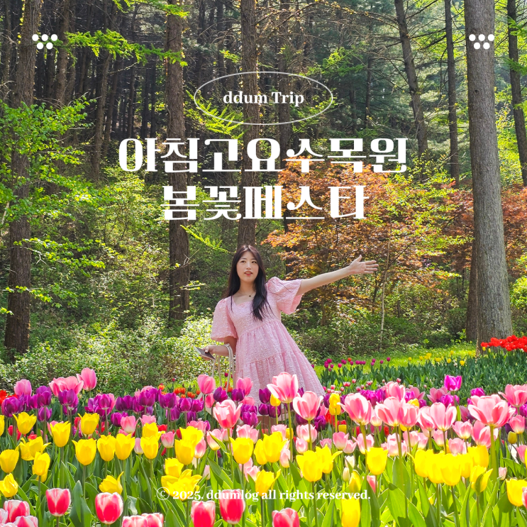 해외 같은 가평 아침고요수목원 봄꽃페스타 5월 꽃축제 : 네이버 블로그