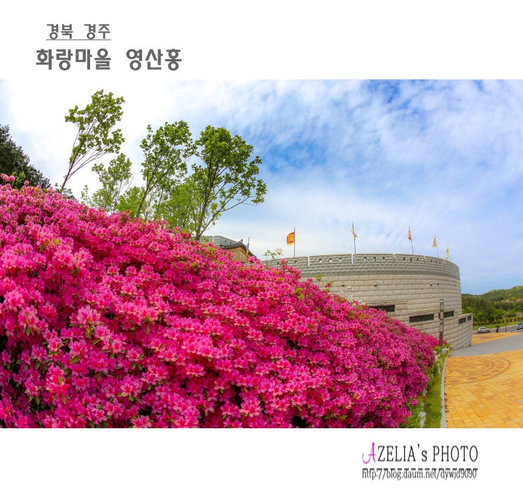 경북 경주 :: 화랑마을 영산홍 【25년4월27일】 : 네이버 블로그
