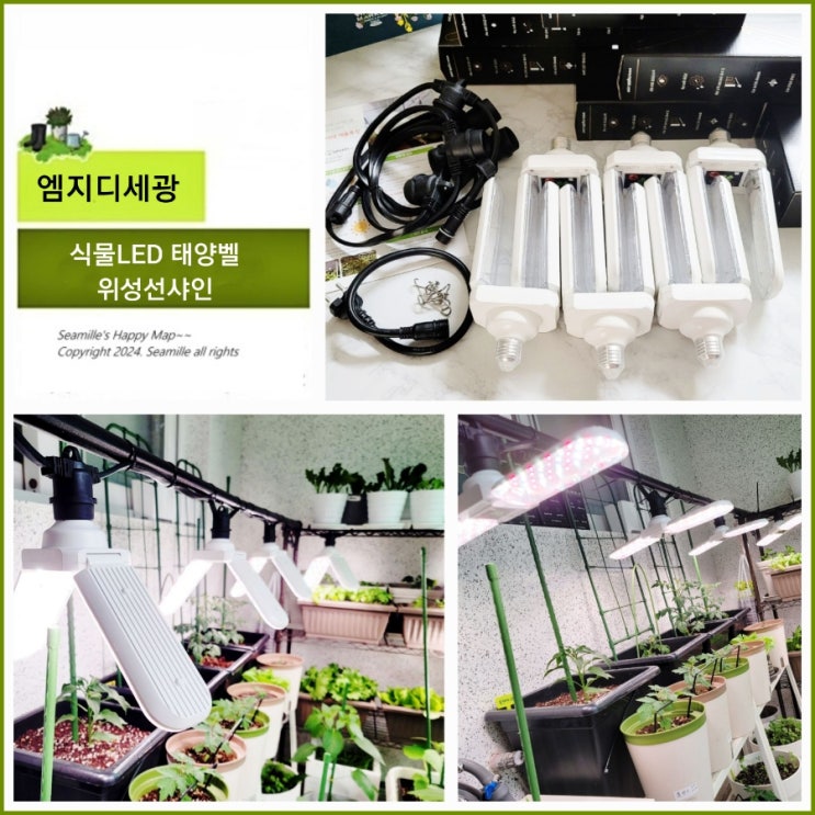 식물조명 베란다 채소정원 엠지디세광 식물LED 보광등 태양벨 날개식물등으로 자연광 보광해서 튼실하게 키우기 : 네이버 블로그