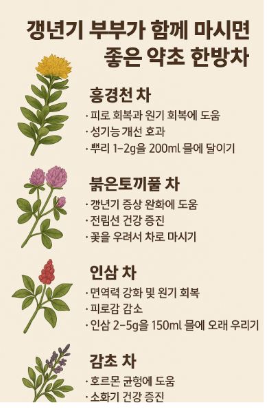 갱년기 부부가 함께 마시면 좋은 약초 한방차 총정리 : 네이버 블로그