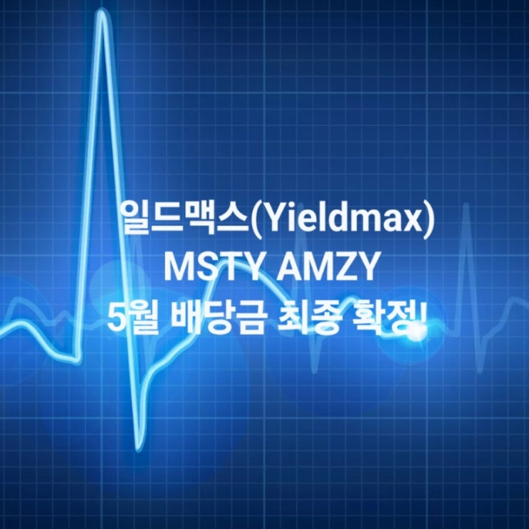 일드맥스(Yieldmax) MSTY AMZY 5월 배당금 최종 확정! : 네이버 블로그