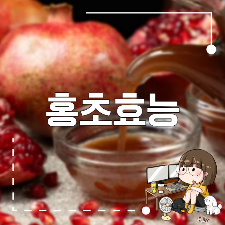 홍초효능 및 섭취시 주의할점은? : 네이버 블로그