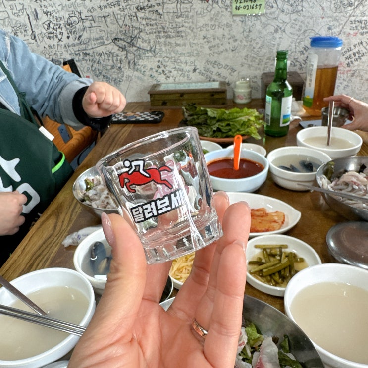 제32회 경주벚꽃마라톤 참가는 핑계고