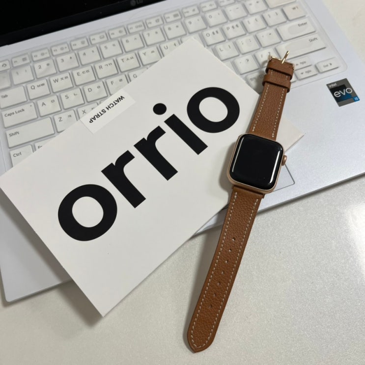 애플워치가죽스트랩 orrio(오르이오) 에서 봄맞이 완료 후기 : 네이버 블로그