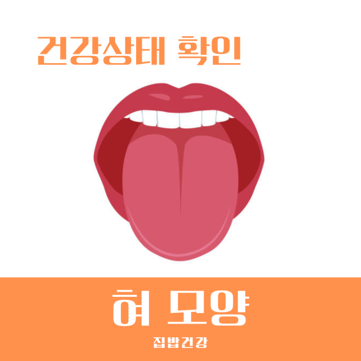 혀 모양 건강상태 갈라짐 염증 색깔 등으로 알아보자 : 네이버 블로그