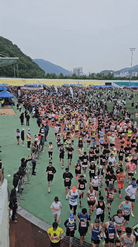 2025 전국의병마라톤 참가 후기 기록 조회 심플칩