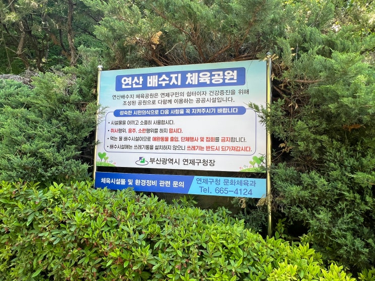 부산 배산 등산 추천 코스 & 주차팁 총정리 : 네이버 블로그