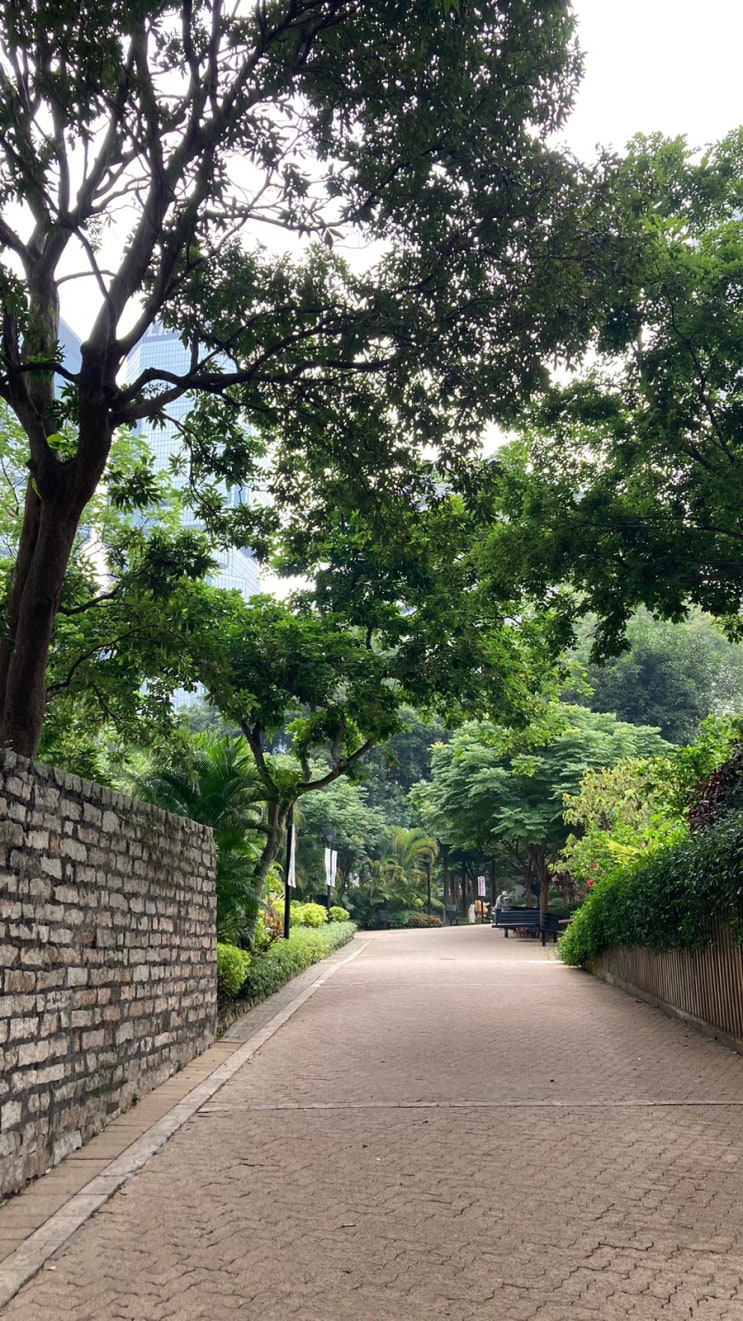 홍콩여행 3일차 홍콩공원, 플래그스태프 하우스 뮤지엄 오브 티웨어....