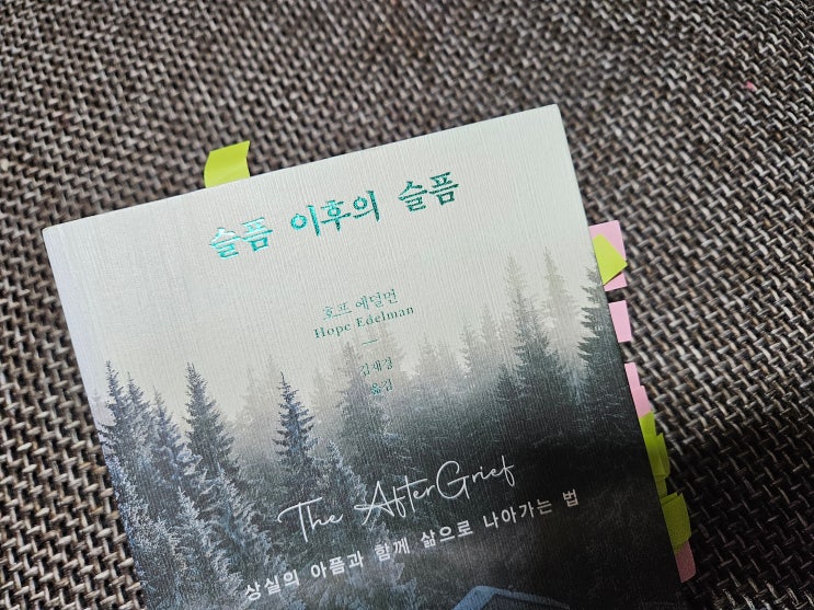 [슬픔을 공부하다 2] 슬픔 이후의 슬픔 읽고 남기는 기록... : 네이버 블로그