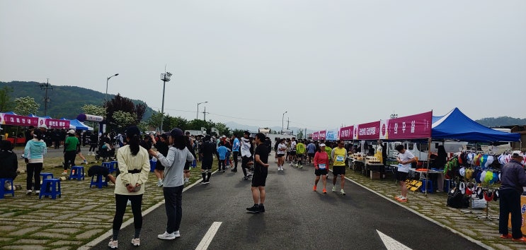 ● 2025 전마협 창단 24주년 기념 금산 무료 초청 마라톤