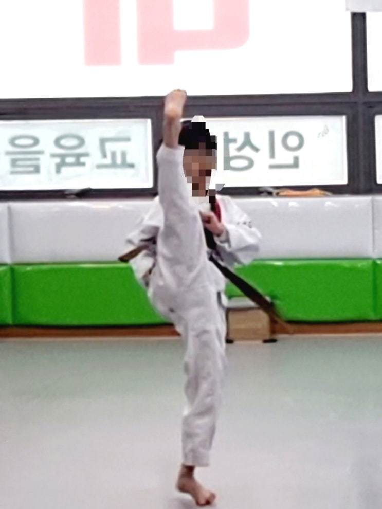 태권도 품띠 그만둬도 괜찮을까? (검은띠 아직 못 땄음) : 네이버 블로그