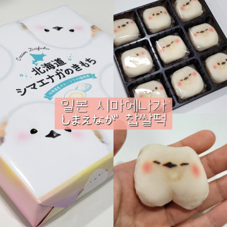 일본 시마에나가 흰머리오목눈이 뱁새 찹쌀떡 모찌 맛 후기 : 네이버 블로그