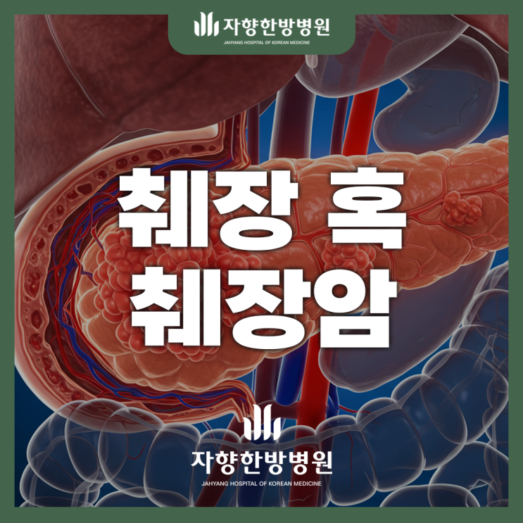 췌장 혹 낭종 수술 치료 췌장암 : 네이버 블로그