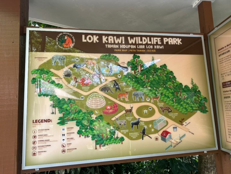 아이랑 말레이시아 코타키나발루 여행 추천코스 < Lok Kawi Wildlife Park ....