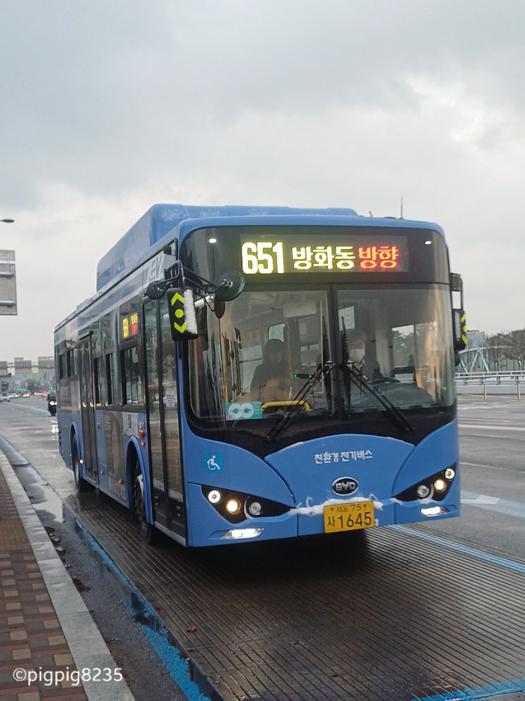 서울 김포교통 651번 BYD NEW e-Bus 12 EV 2021 (1645) : 네이버 블로그