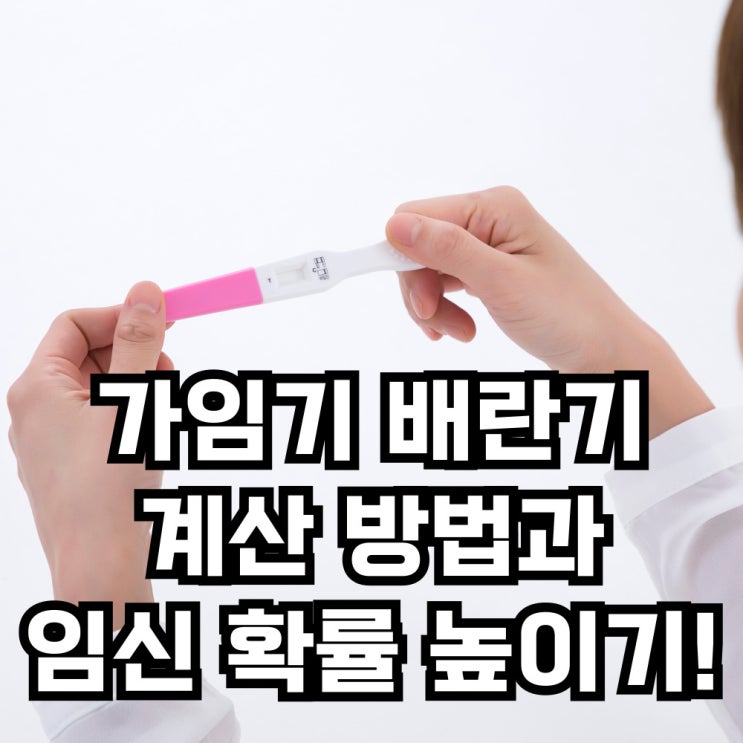 가임기 배란기 계산 방법과 생리주기 임신 확률 높이기! : 네이버 블로그