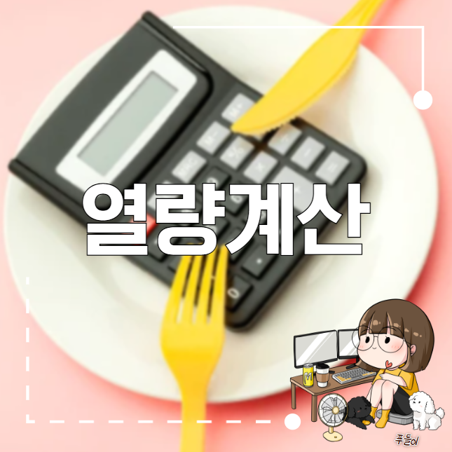 열량계산 , 쉽게 칼로리 계산하기 : 네이버 블로그