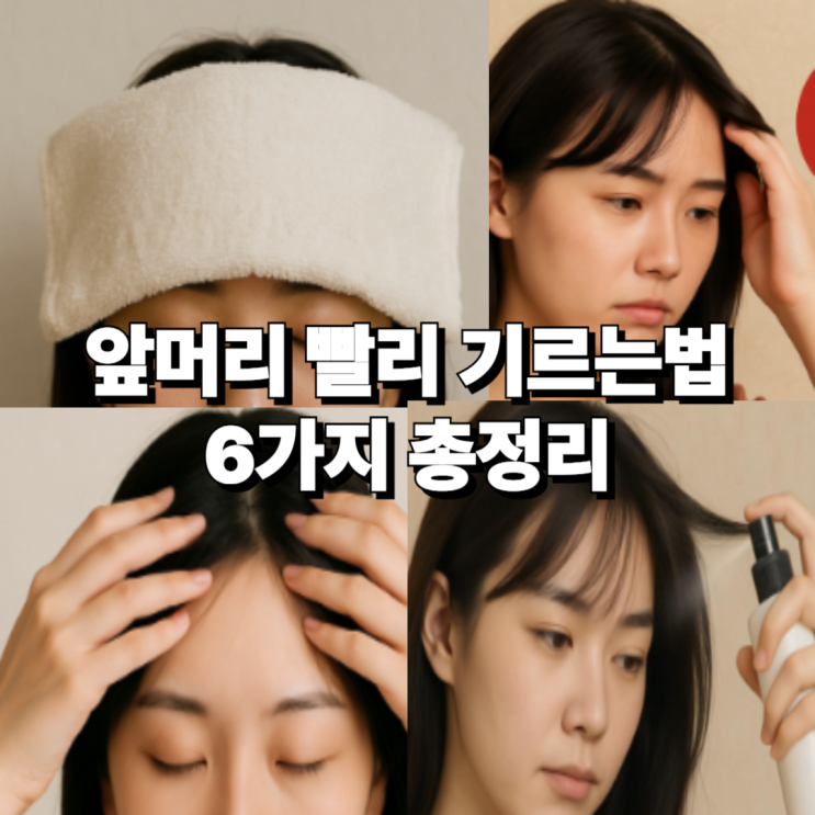앞머리 빨리 기르는법 6가지 머리 망해서 고민중이라면? : 네이버 블로그