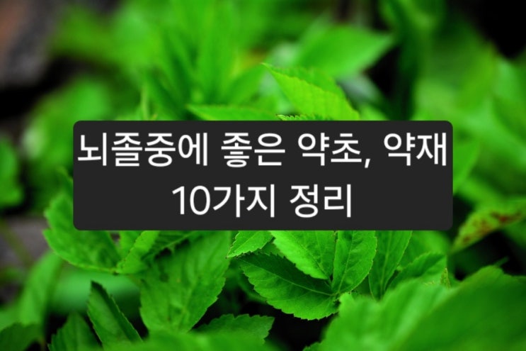 뇌졸중에 좋은 약초, 약재 10가지 : 네이버 블로그