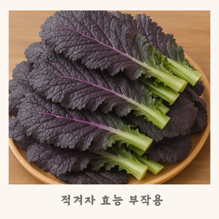 적겨자 효능 부작 : 네이버 블로그