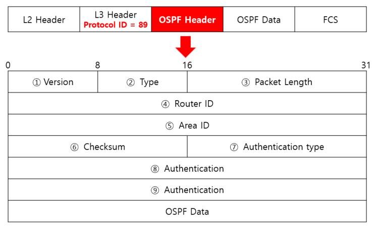 OSPFv2 - Neighbor Packet Type : 네이버 블로그