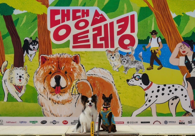 250517~18 댕댕트레킹 2025 기록