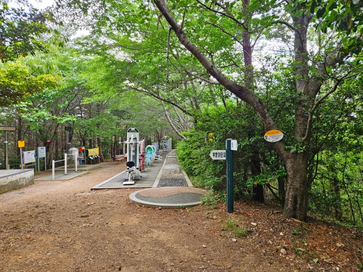 여수 고락산 둘레길 탐조 팔색조 어치 딱따구리 : 네이버 블로그