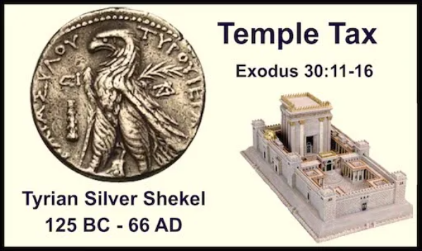 210. 성전 세겔(Shekel) : 네이버 블로그