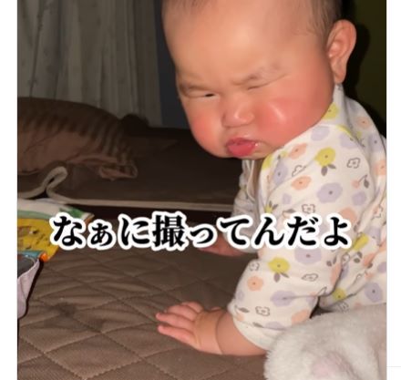 きらいだ 와 いやだ 의 뉘앙스차이 : 네이버 블로그