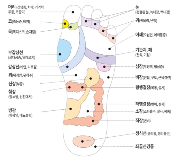발바닥 혈자리 발 지압점 지압판 효과는? : 네이버 블로그