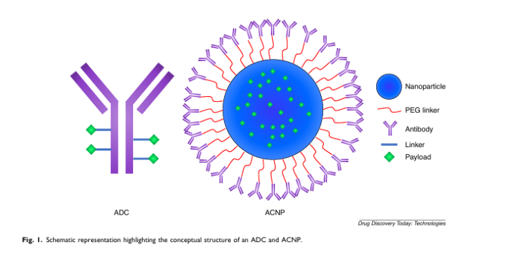 항체-나노입자 접합체(ACNP): 암 치료의 미래를 여는 차세대 약물 전달 기술 : 네이버 블로그