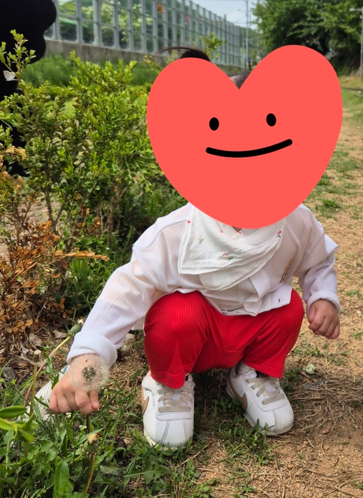 어린이집 영아 바깥놀이 활동목록 : 네이버 블로그