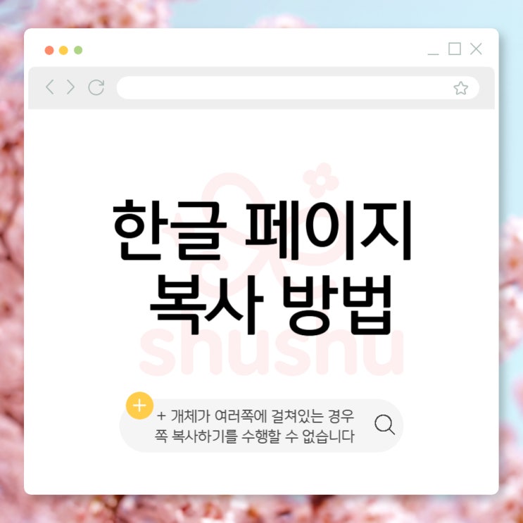 한글 페이지 복사하는 법 완벽 가이드 ('개체가 여러 쪽에 걸쳐 있는 경우 쪽 복사하기를 수행할 수 없습니다' 대처법 ...