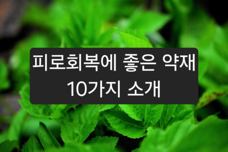 피로회복에 좋은 약재 10가지 : 네이버 블로그