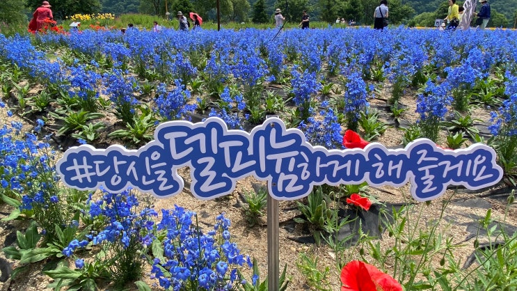 24 %B5%A8%C7%C7%B4%BD1